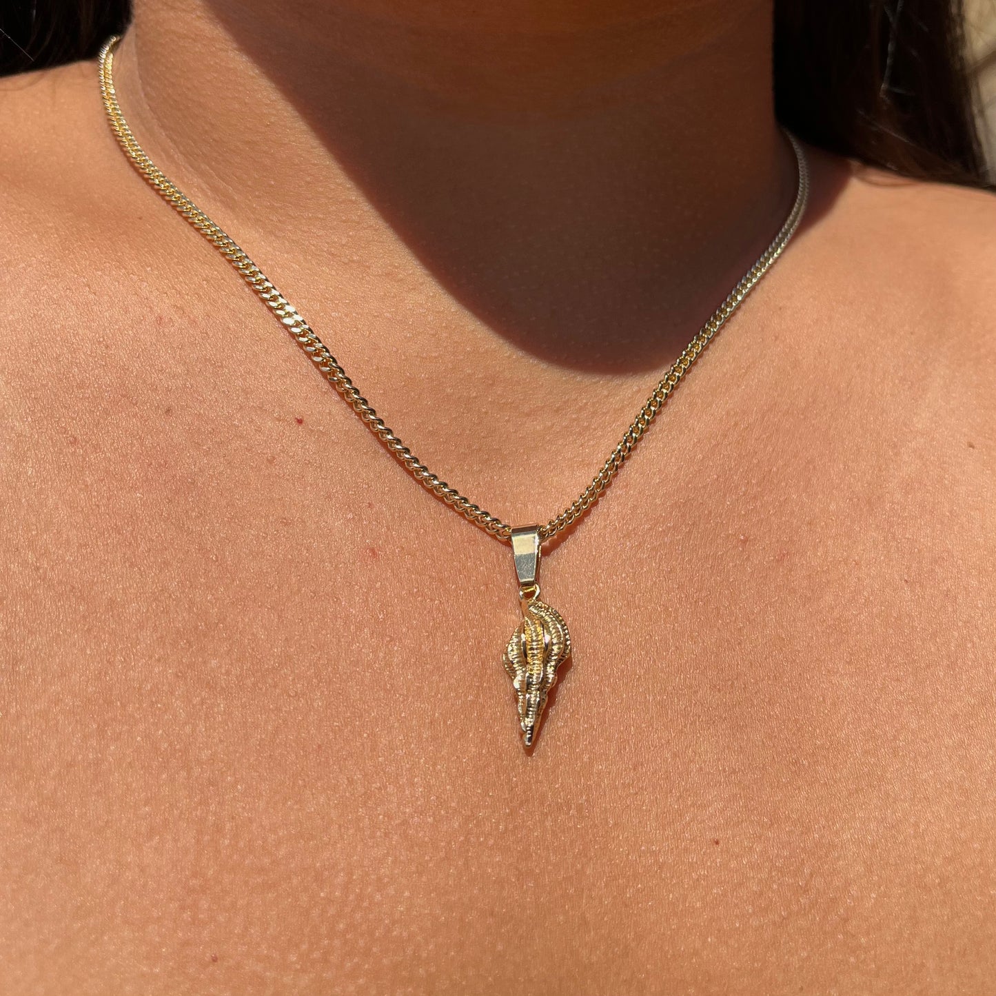 Seashell Necklace