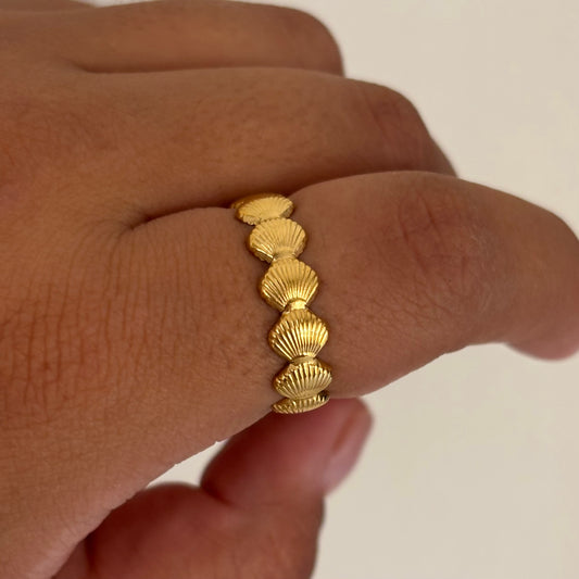 Shells Ring