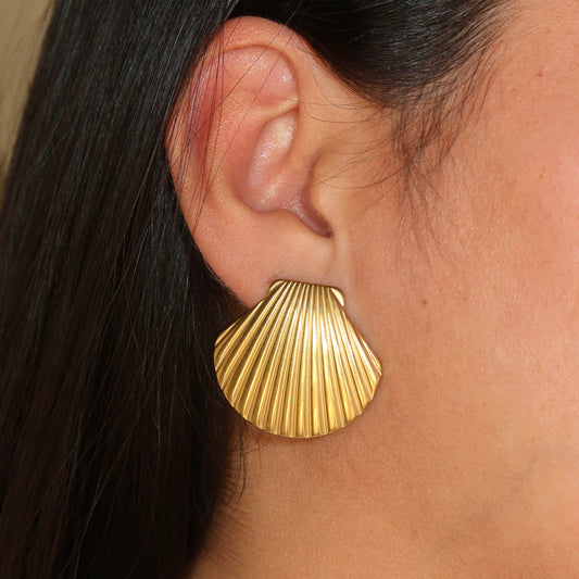 Scallop Shell Studs